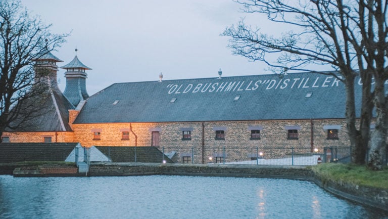 bushmills distillery tour
