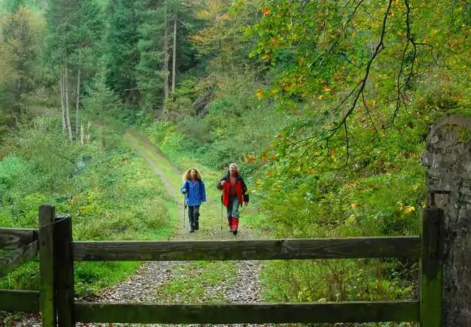 Ballyhoura Mountains