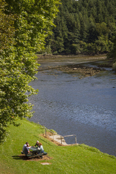 The Mullicháin Café st mullins