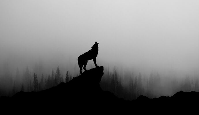 Man-Wolves of Ossory