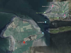 Coney Island Sligo How To Cross Safely In 2026 coney-island-sligo-how-to-cross-safely-in-2026