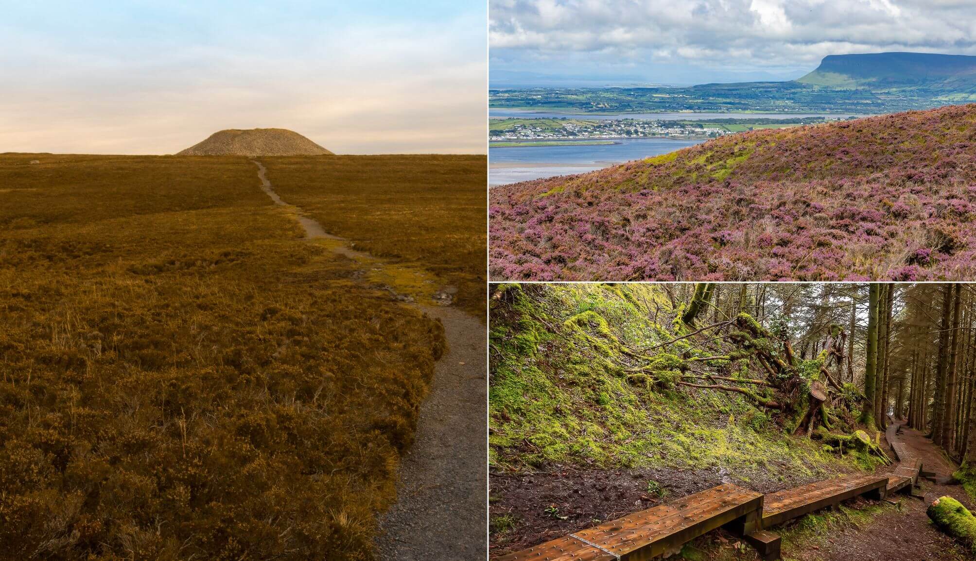 The Knocknarea walk