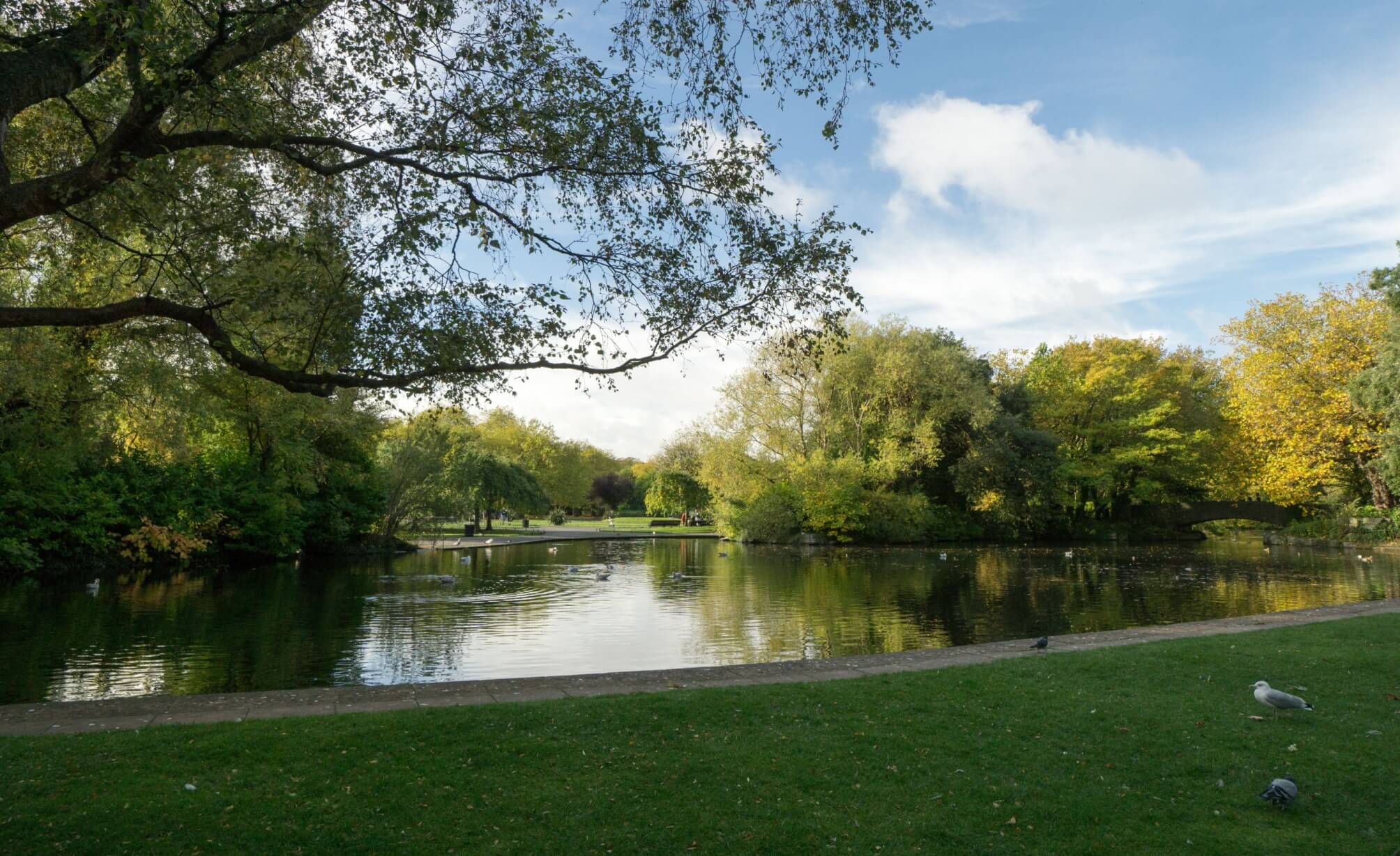 the lake in st stephens green