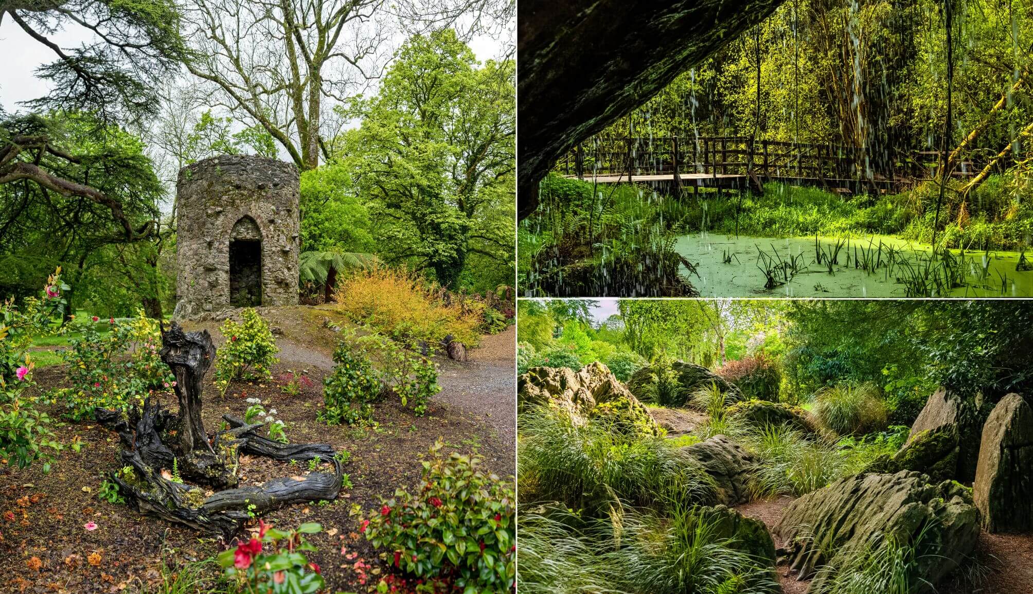 blarney castle gardens