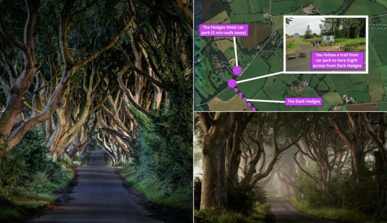 the dark hedges northern ireland