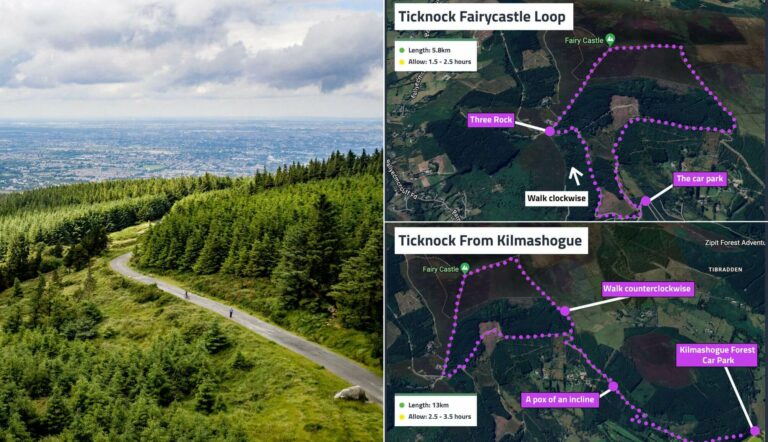 the ticknock walk