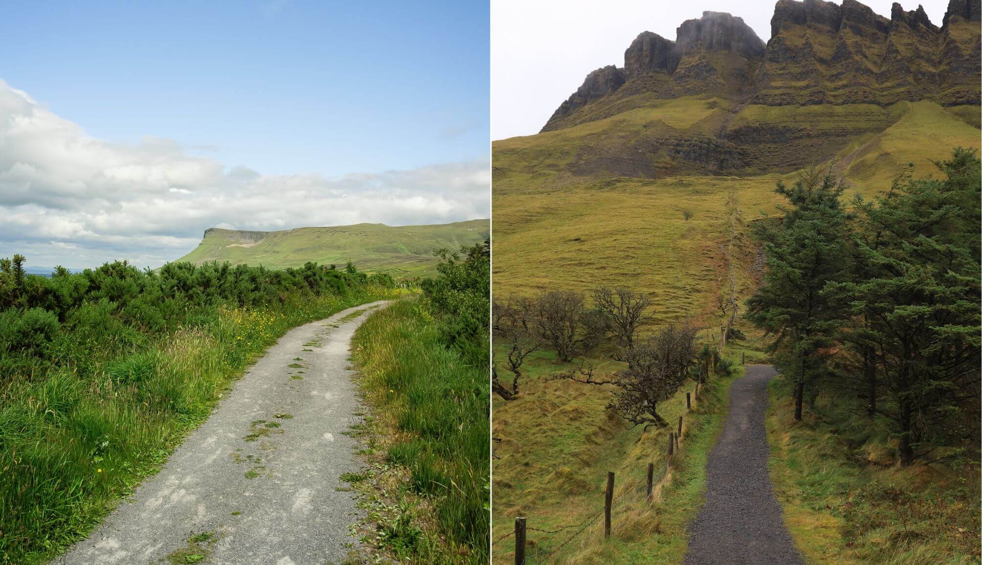 benbulben forest walk