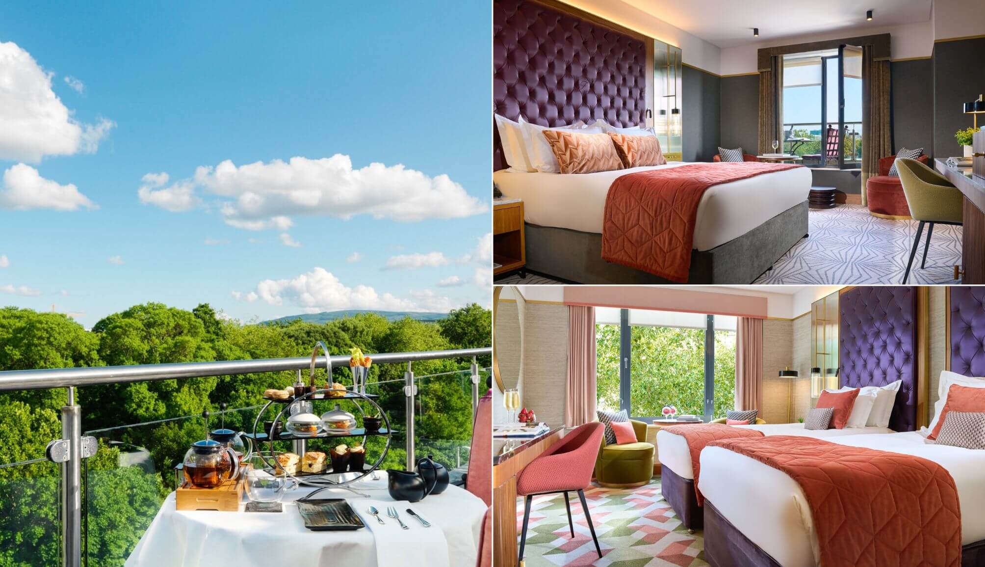 the Fitzwilliam Dublin