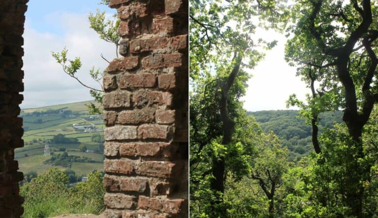 glen of the downs walk
