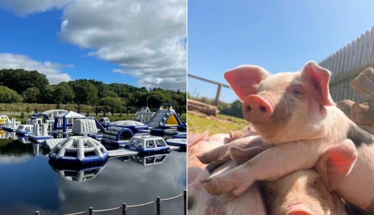 Things To Do In Wicklow For Families