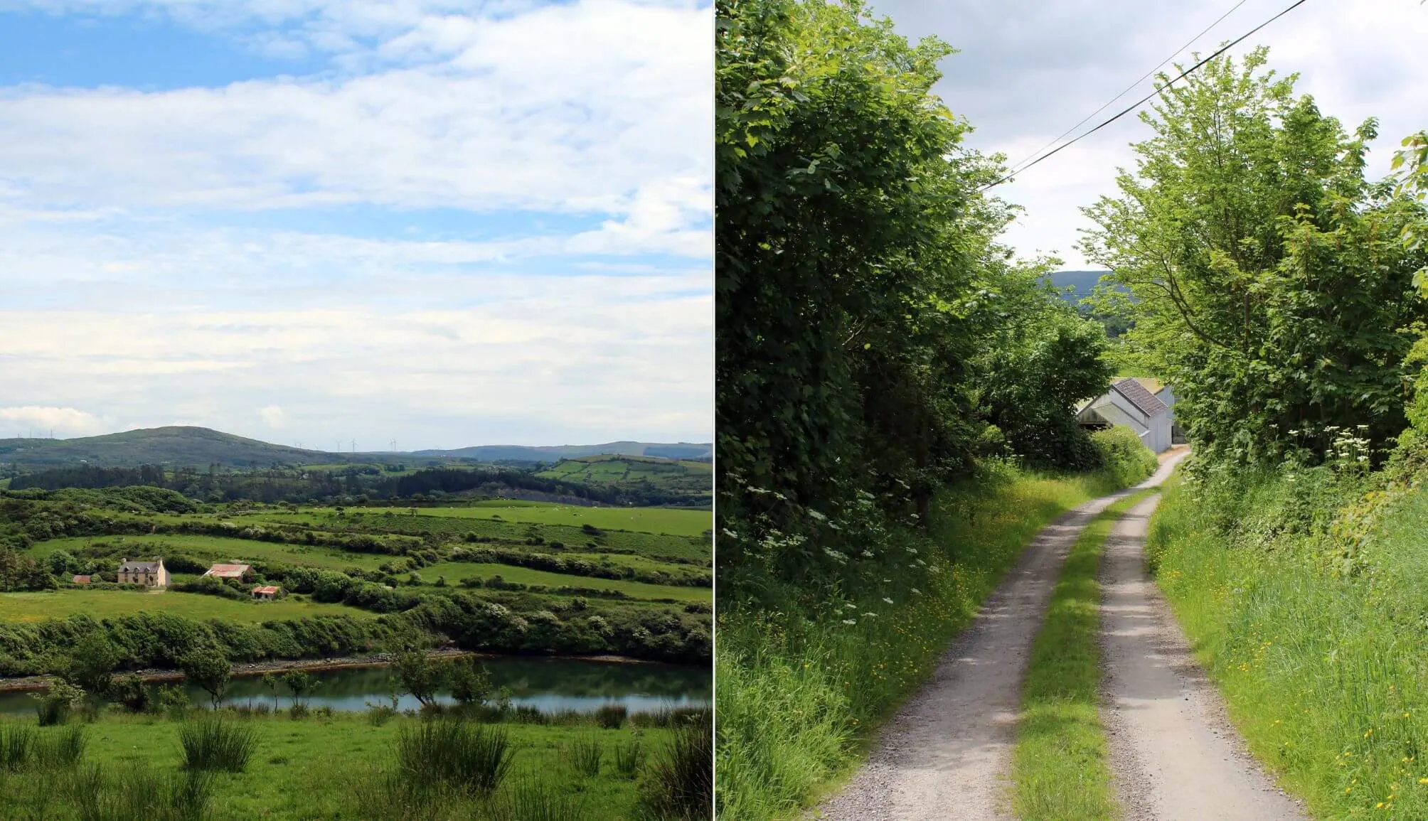 Whiddy Island Cork
