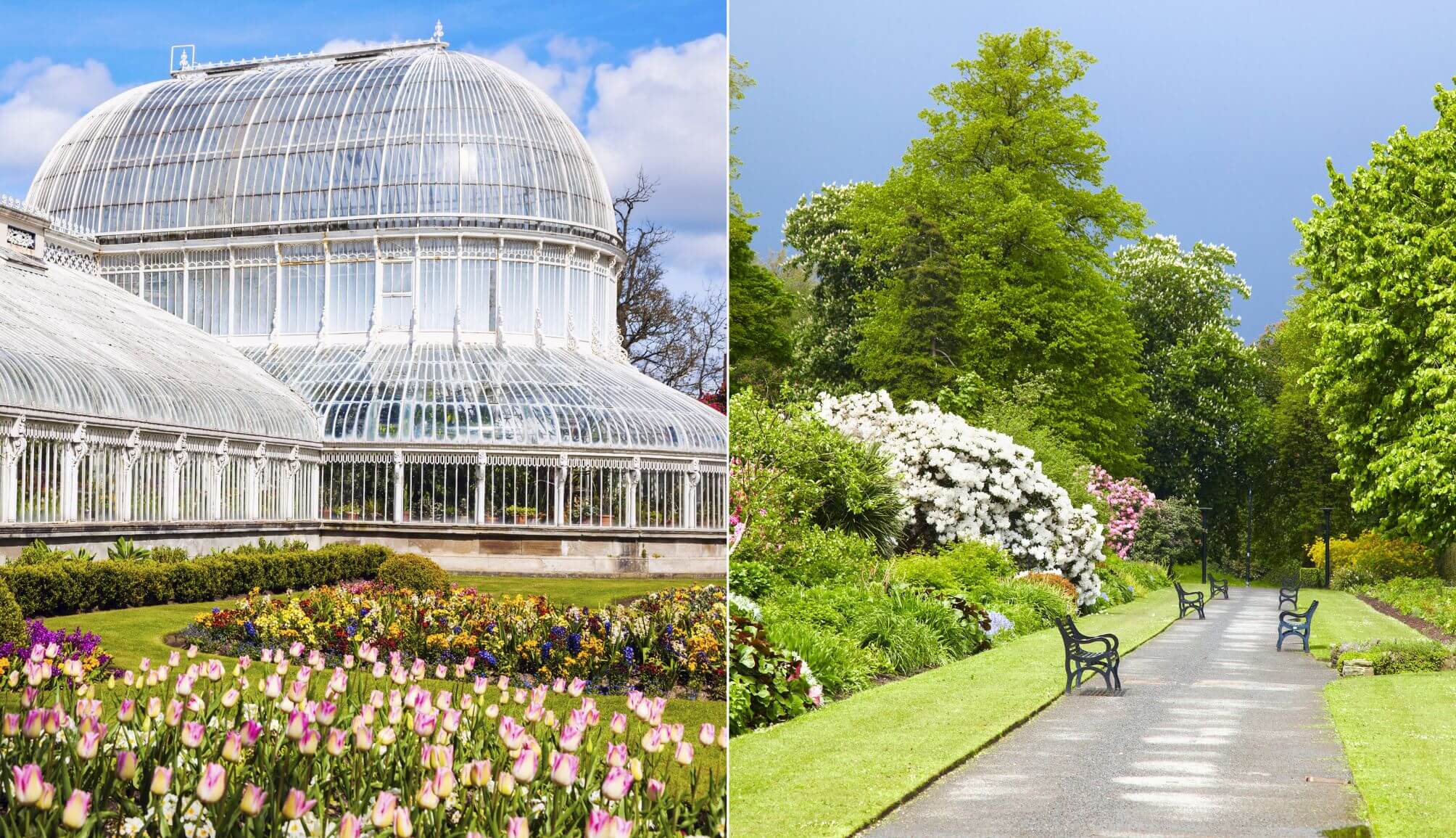 Belfast Botanic Gardens Belfast Botanic Gardens
