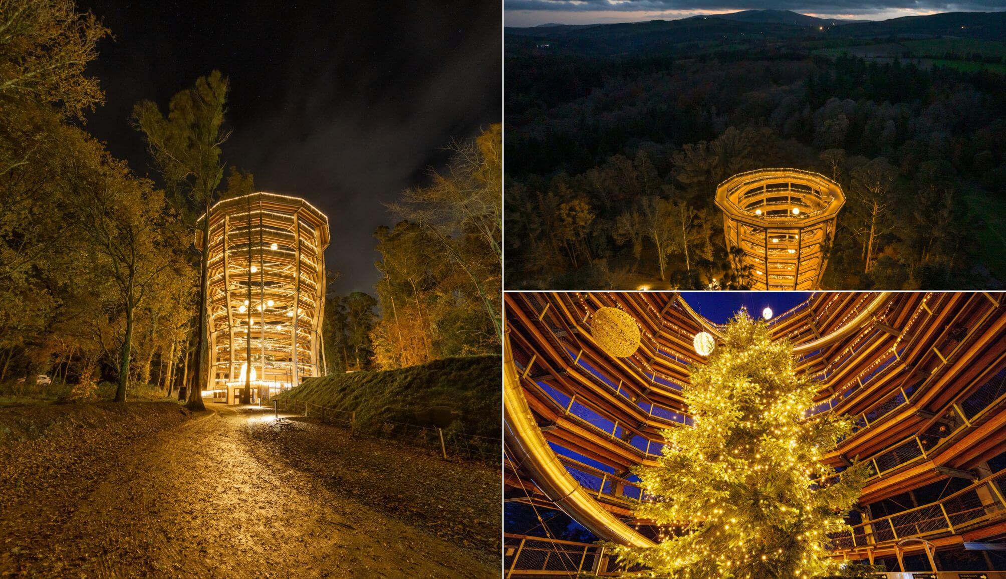 Beyond the Trees Avondale Christmas