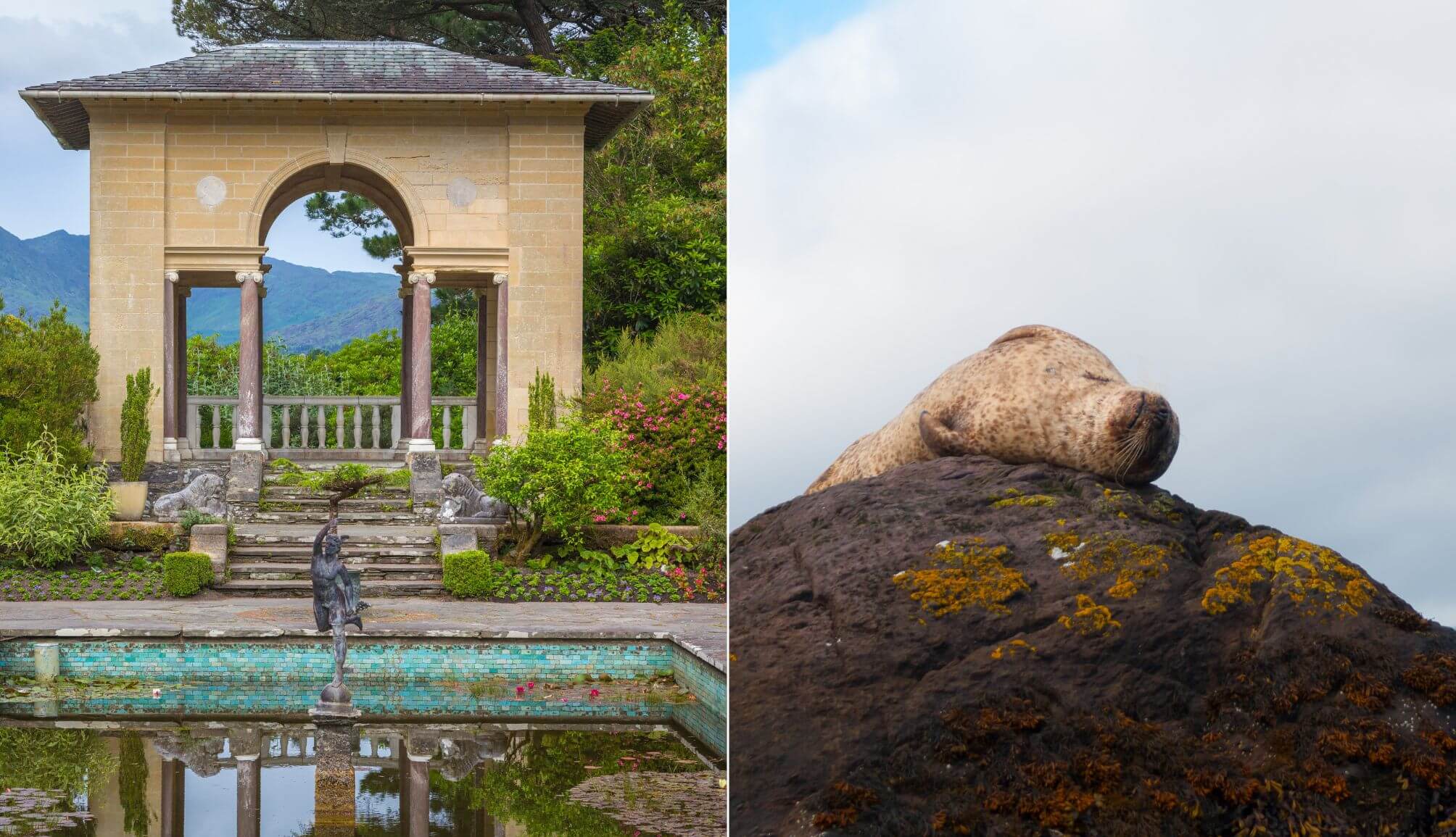 Visiting Garnish Island: The Ferry, What To Do + History