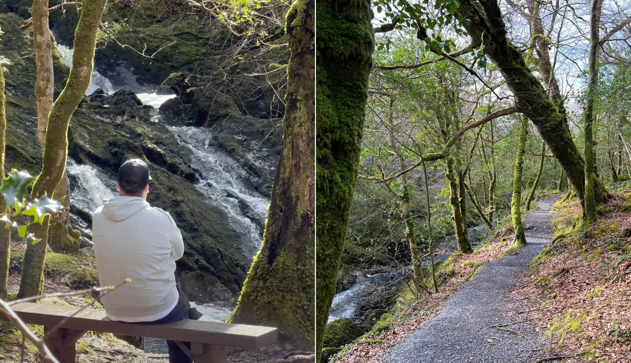 Glengarriff Nature Reserve