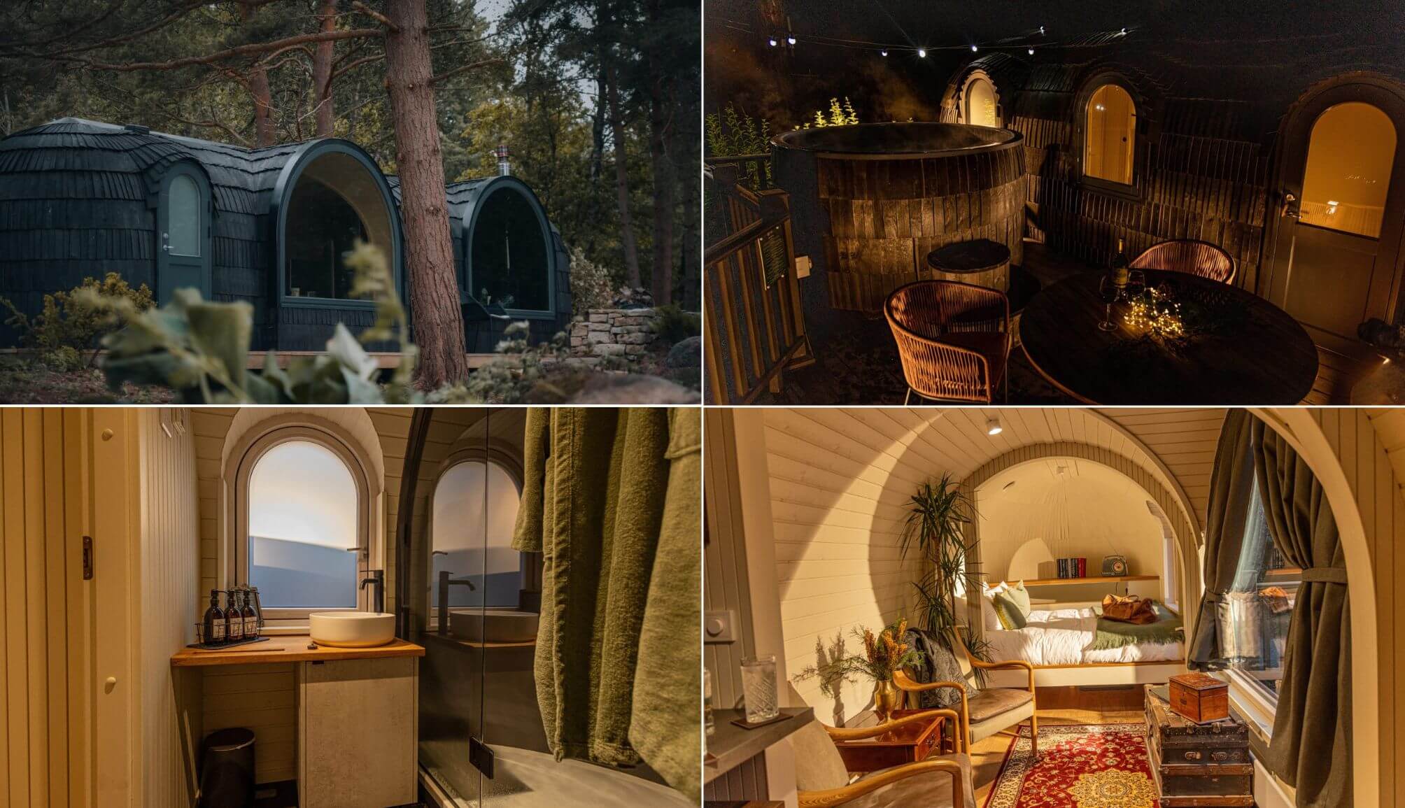 The Forest at Mount Congreve Gardens