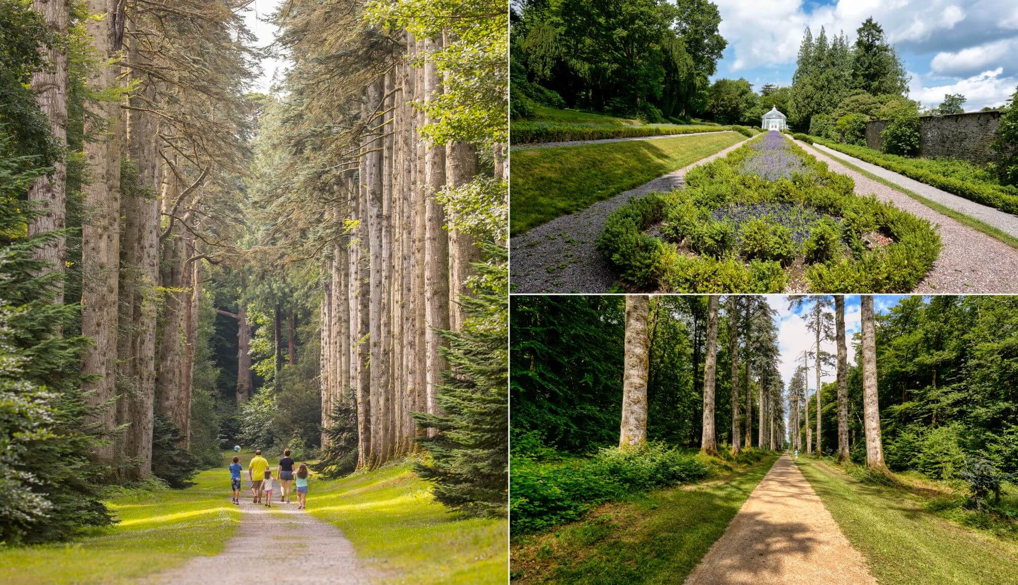 Woodstock Gardens and Arboretum