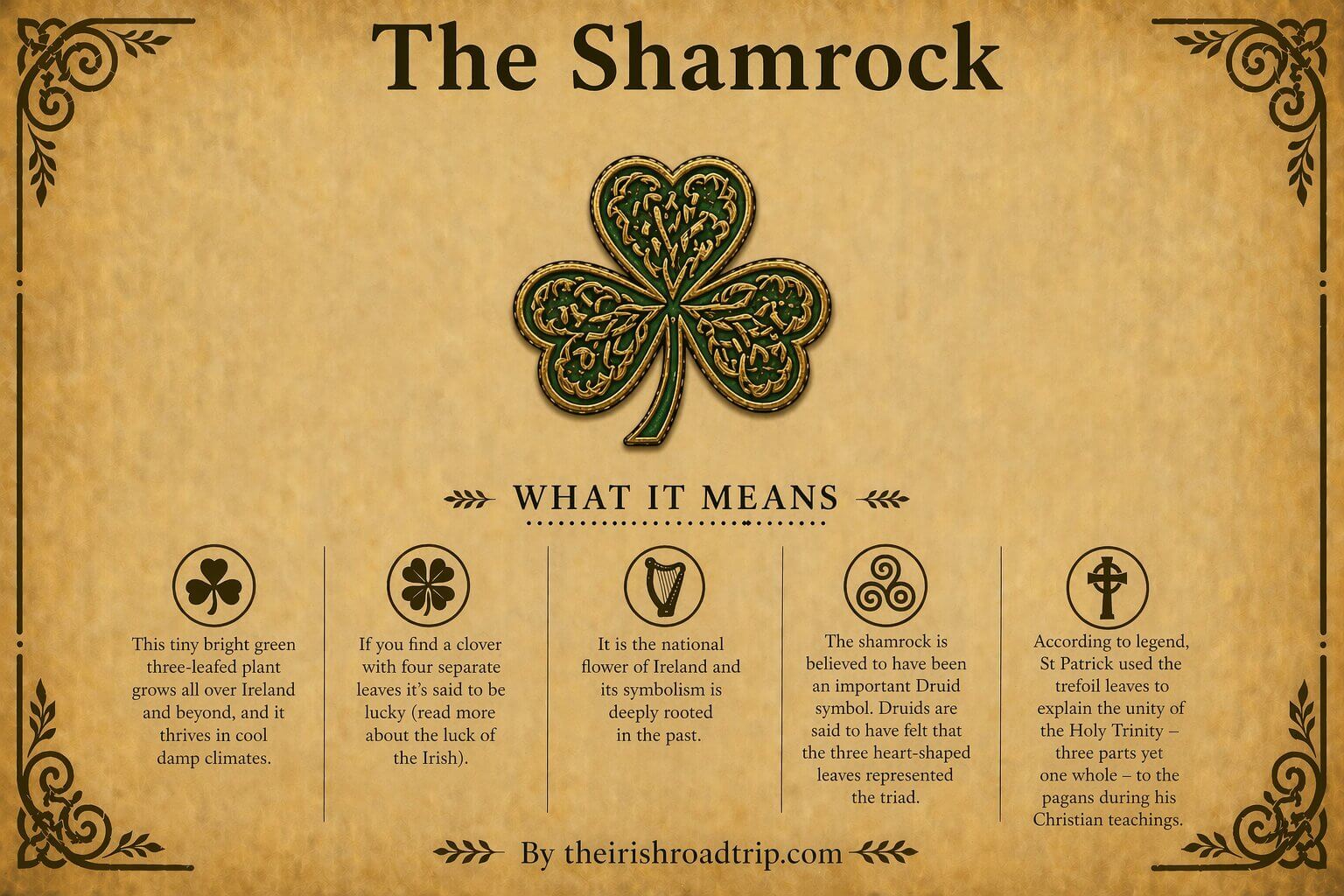 Shamrock symbol