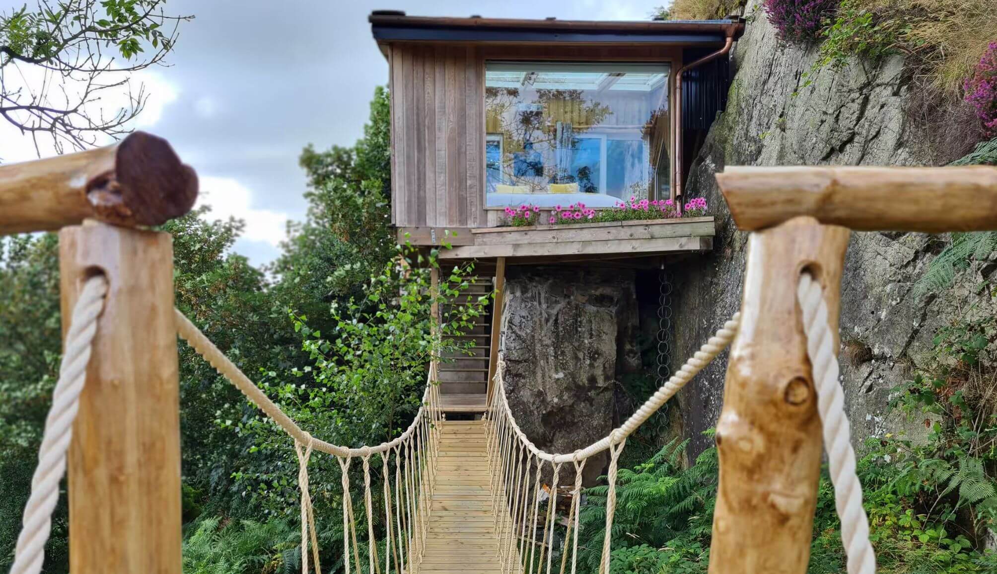 entering Balance Treehouse